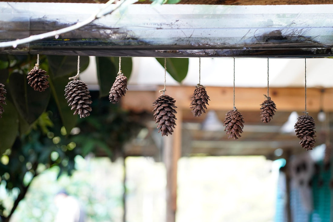 Meditation awareness (Pixabay: Minhsang92)