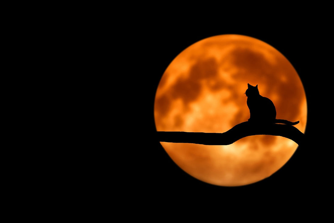 Shadow work (Pixabay: Bessi)