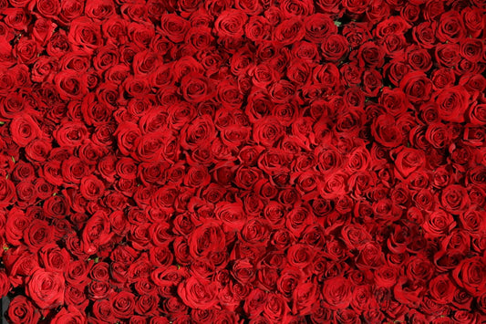 Abundance (Pixabay: DrCarl)