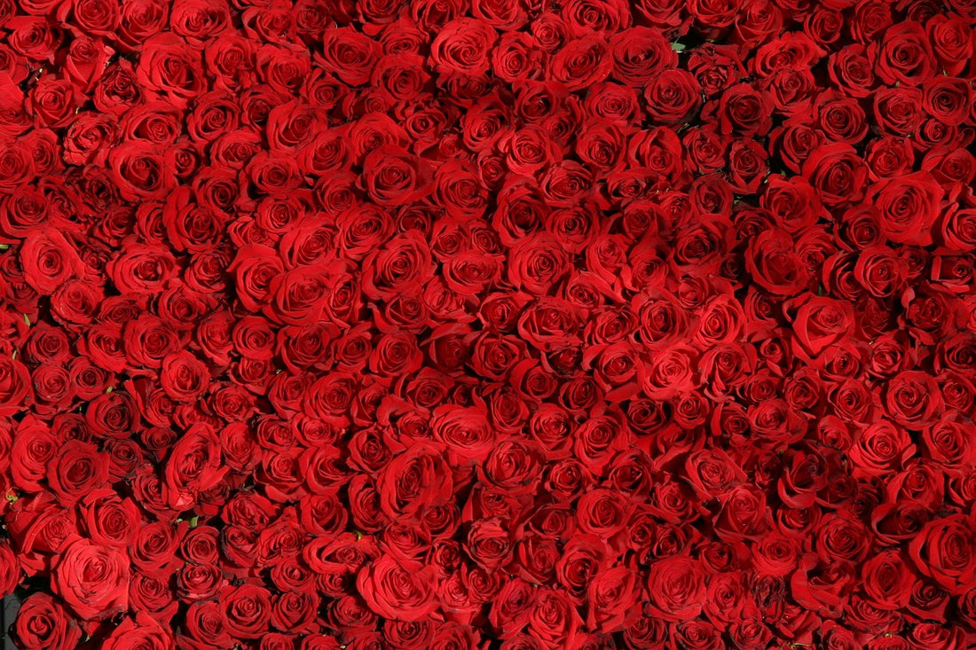 Abundance (Pixabay: DrCarl)