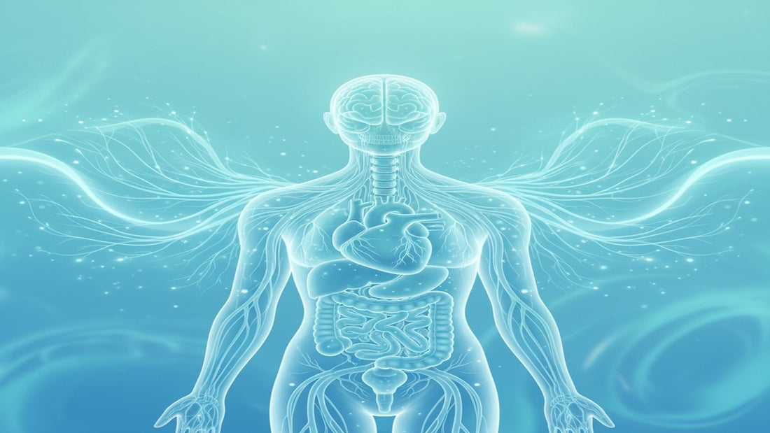 nervous system regulation techniques - Featured Image