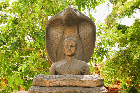 Biblical Meaning of Dreaming of Snakes: Christian Interpretation Guide