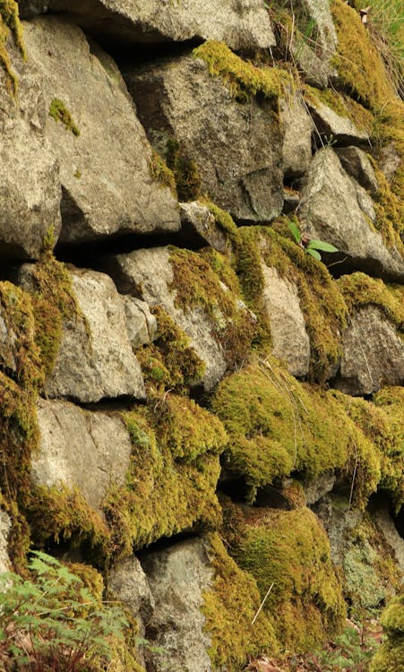 Transformational imagery representing ego death and rebirth