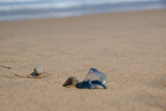 Woman meditating with protective white light surrounding her