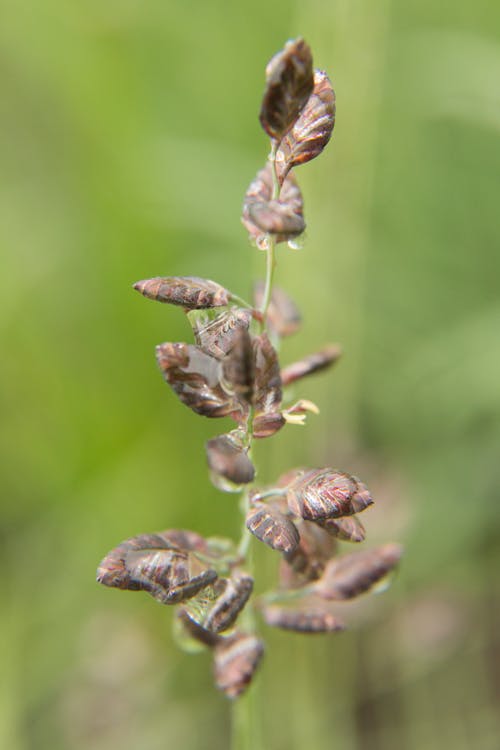Ethereal image representing astral projection and spiritual travel
