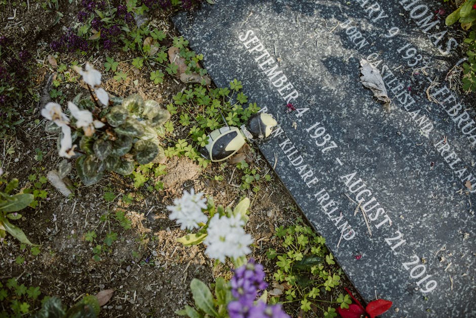 Transcendental Meditation for Veterans: Healing PTSD and Finding Peace