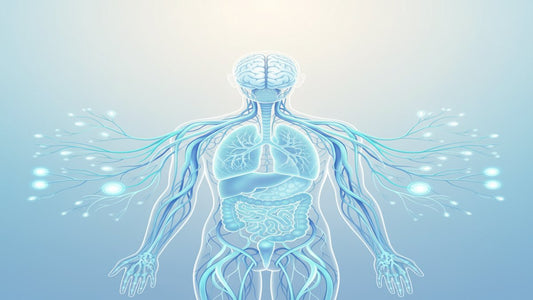 vagus nerve stimulation at home - Featured Image
