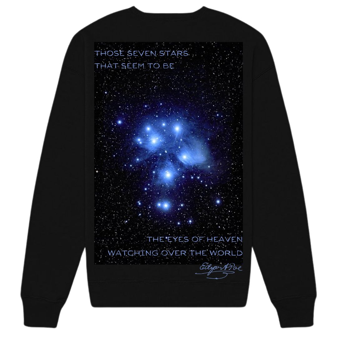 Seven Sisters Of the Pleiades sweater Back | Thalira